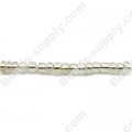 12/0 Glass Seed Beads,Silver Lined Round Hole